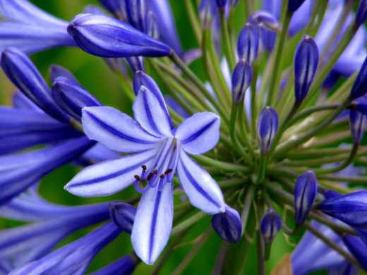 422863 (a): :1024x768